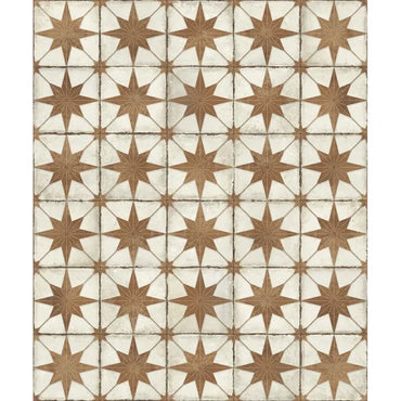 Heritage Cotto Compass 8" x 8" Terracotta & White Star Matte Porcelain Tile