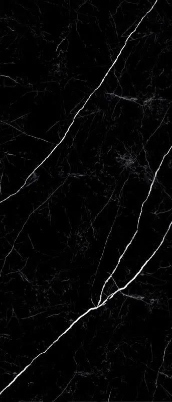 Raphael Porcelain Nero Marquina
