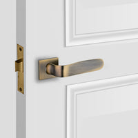 Passage Brass Mars Internal Door Handles