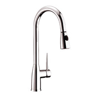 Single Handle Pull-Out Kitchen Faucet - DW