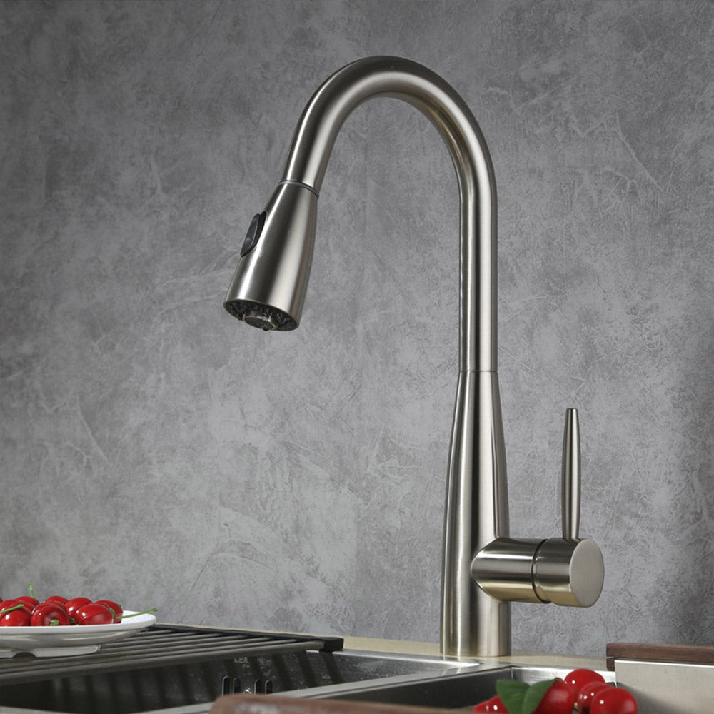 Single Handle Pull-Out Kitchen Faucet - DW