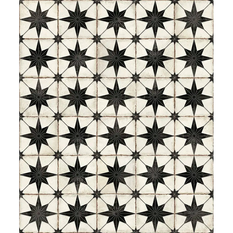 Heritage Star Noir 8" x 8" Black & White Matte Porcelain Tile