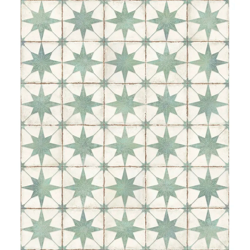 Heritage Sage Compass 8" x 8" Green & White Star Matte Porcelain Tile