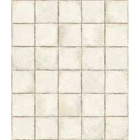 Heritage Ivory 8" x 8" Weathered White Matte Porcelain Tile