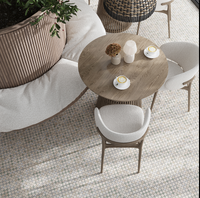 Penny Round Star Multicolor Honed Natural Stone Mosaic Tile