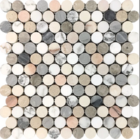 Penny Round Multicolor Polished Natural Stone Mosaic Tile