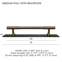 Brass Knob and Pull with Backplate