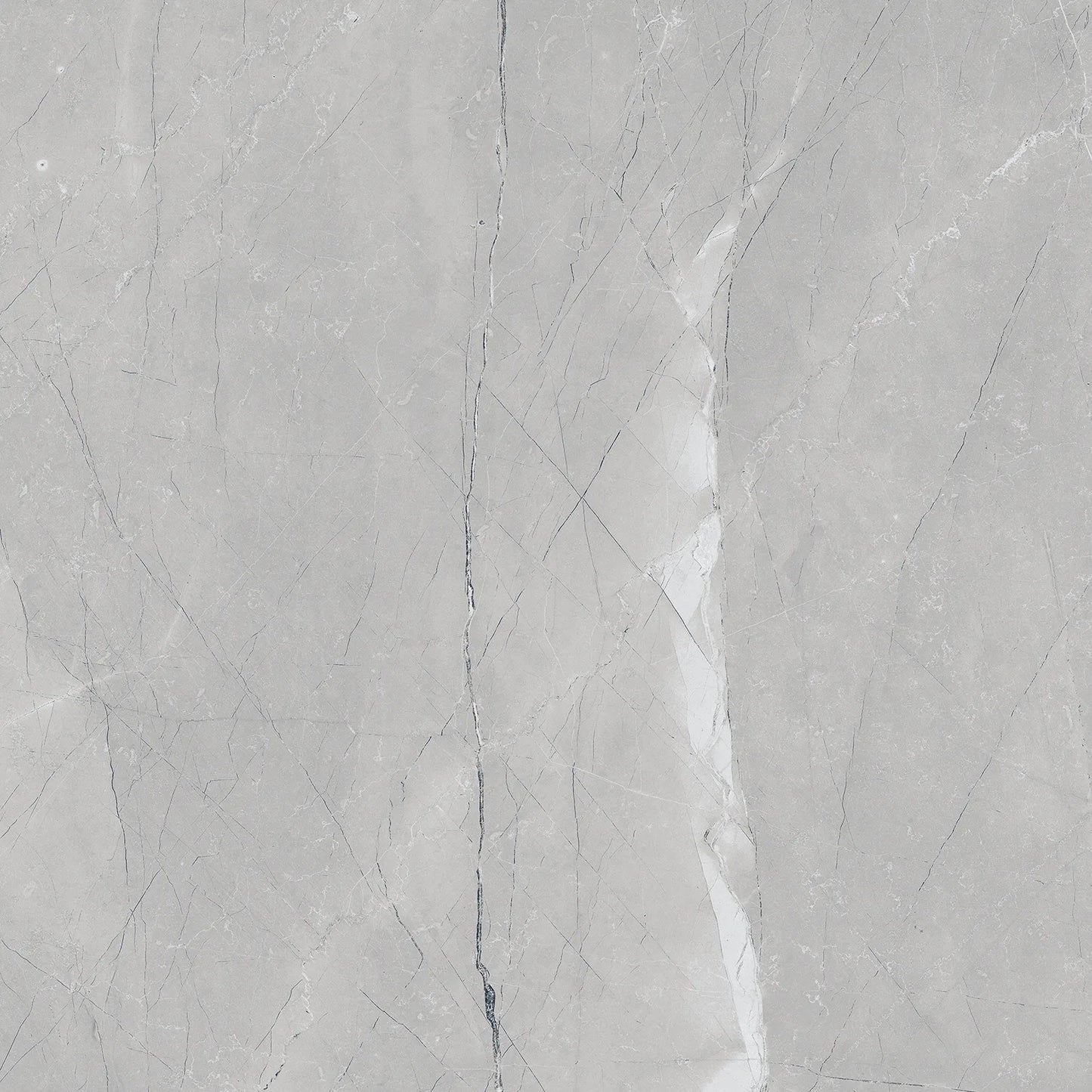 Raphael Porcelain Armani Grey