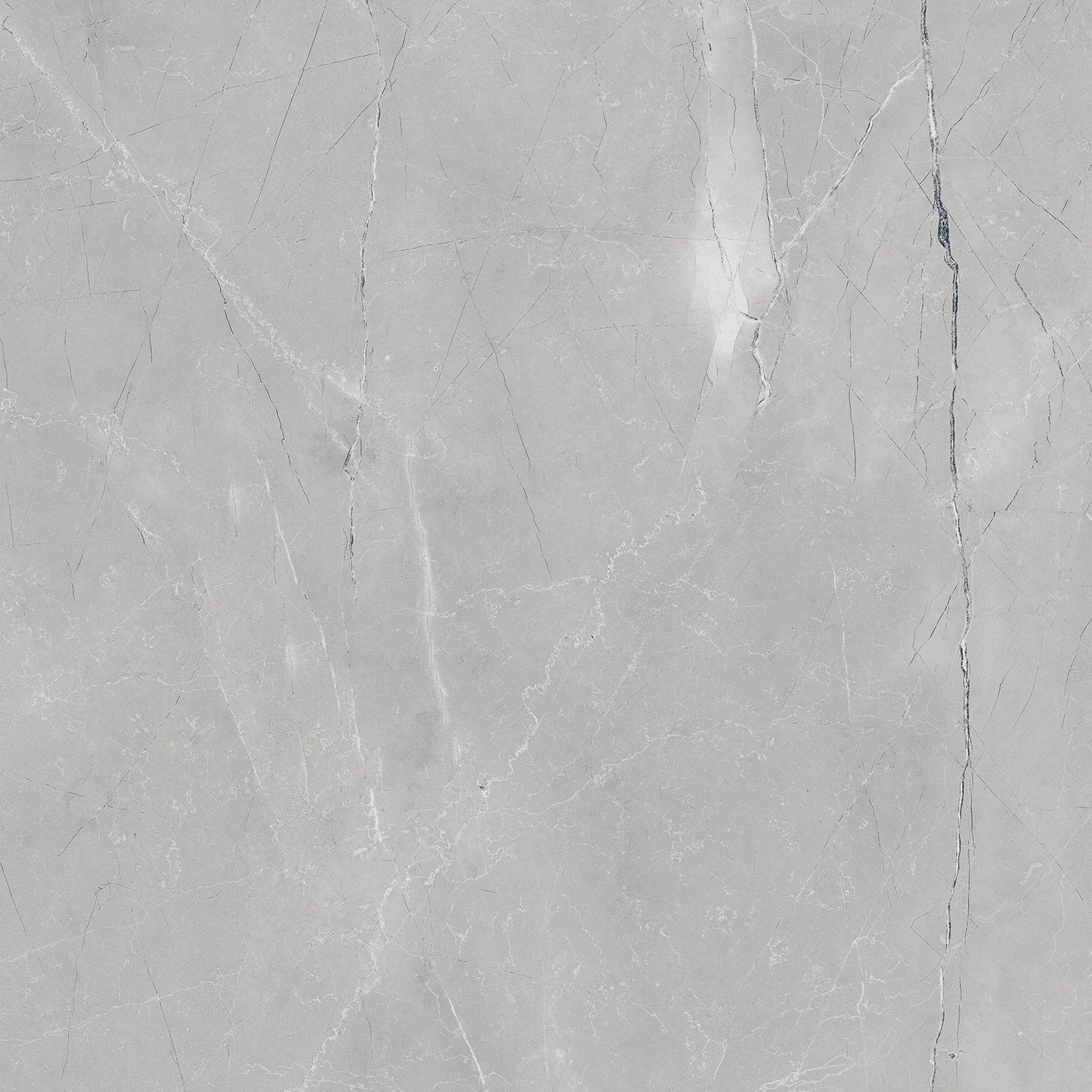 Raphael Porcelain Armani Grey