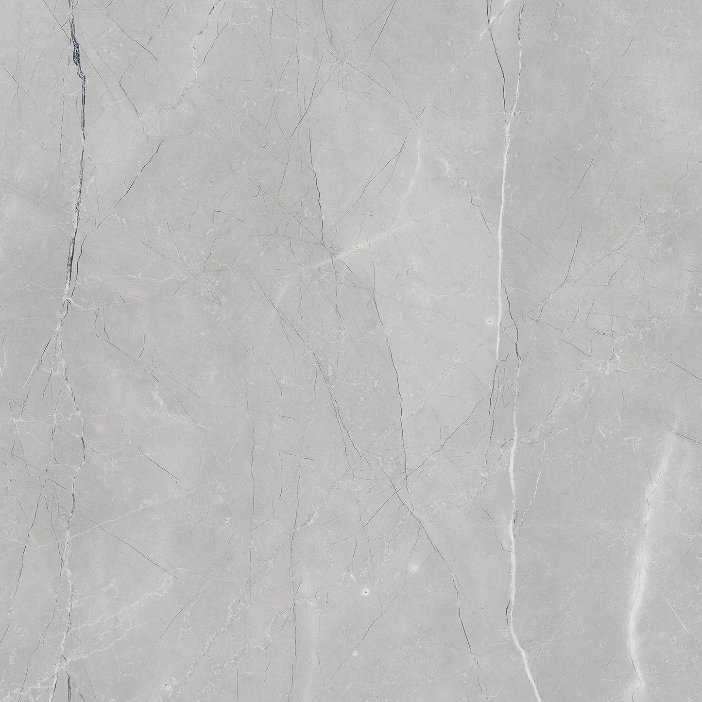Raphael Porcelain Armani Grey