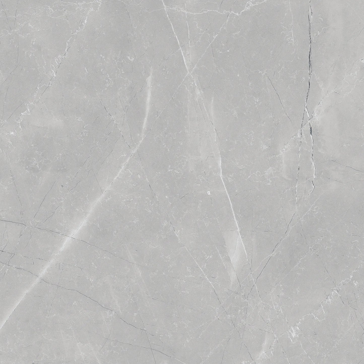 Raphael Porcelain Armani Grey