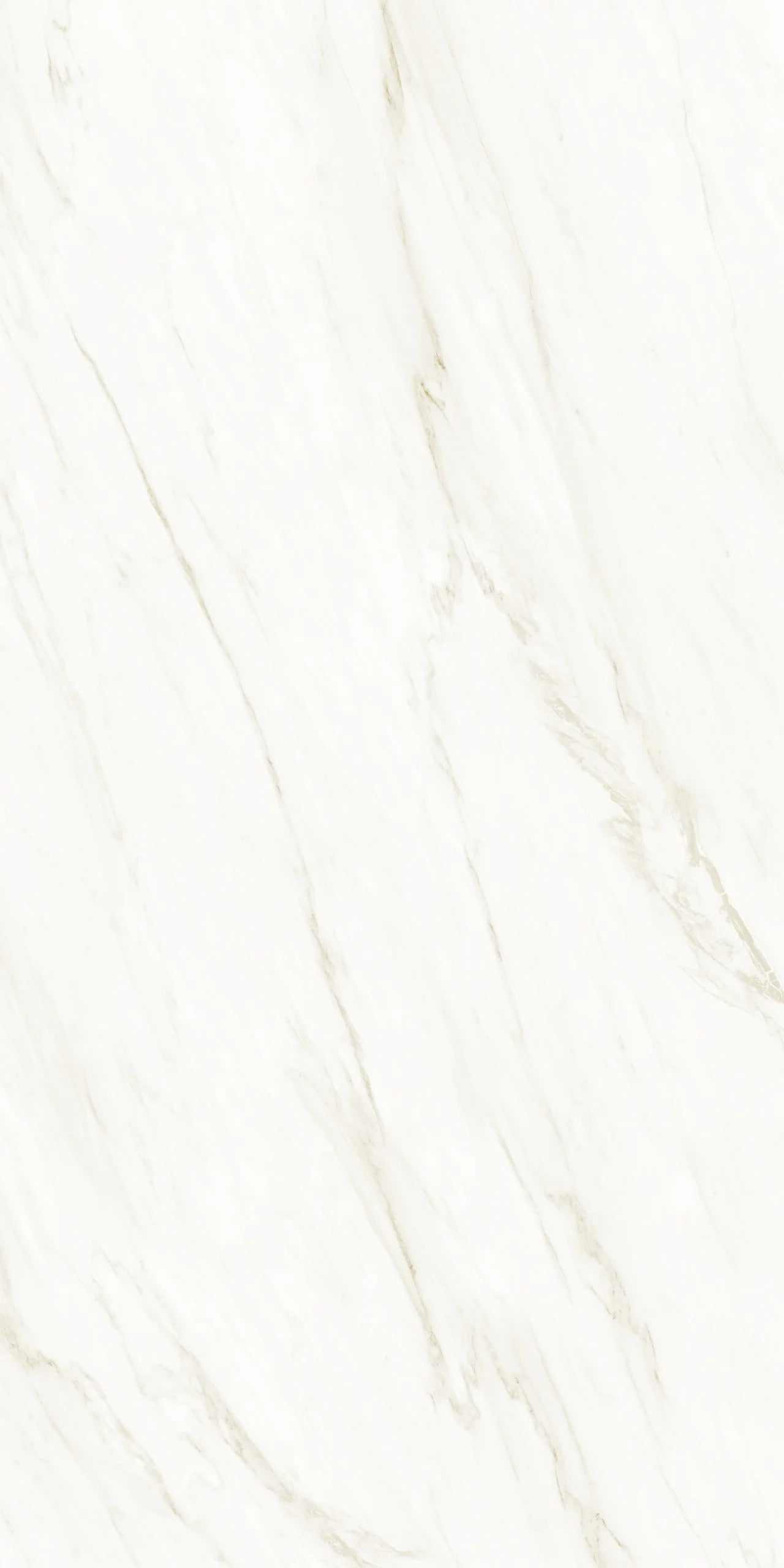 Raphael Porcelain Calacatta Crema