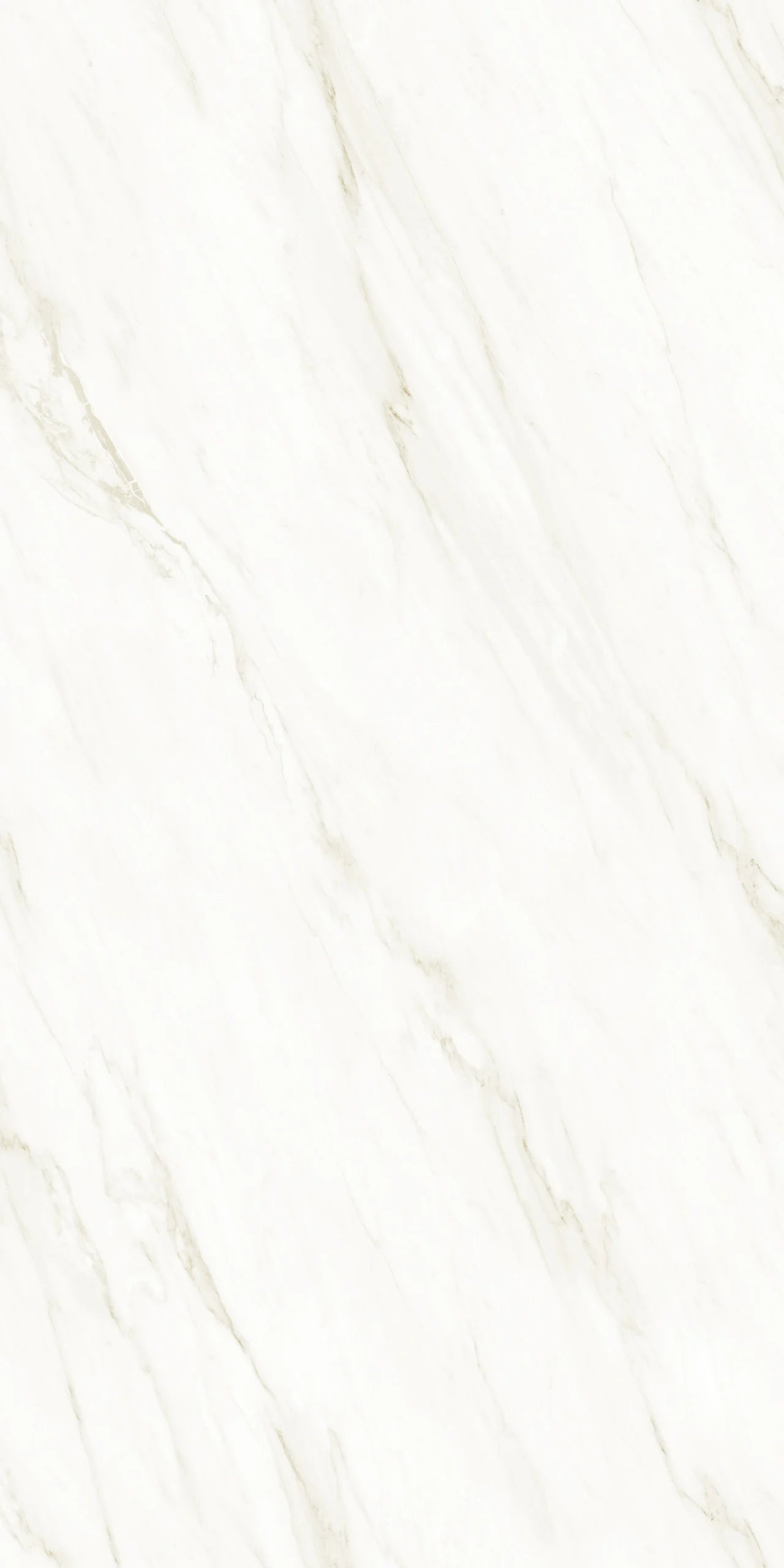 Raphael Porcelain Calacatta Crema