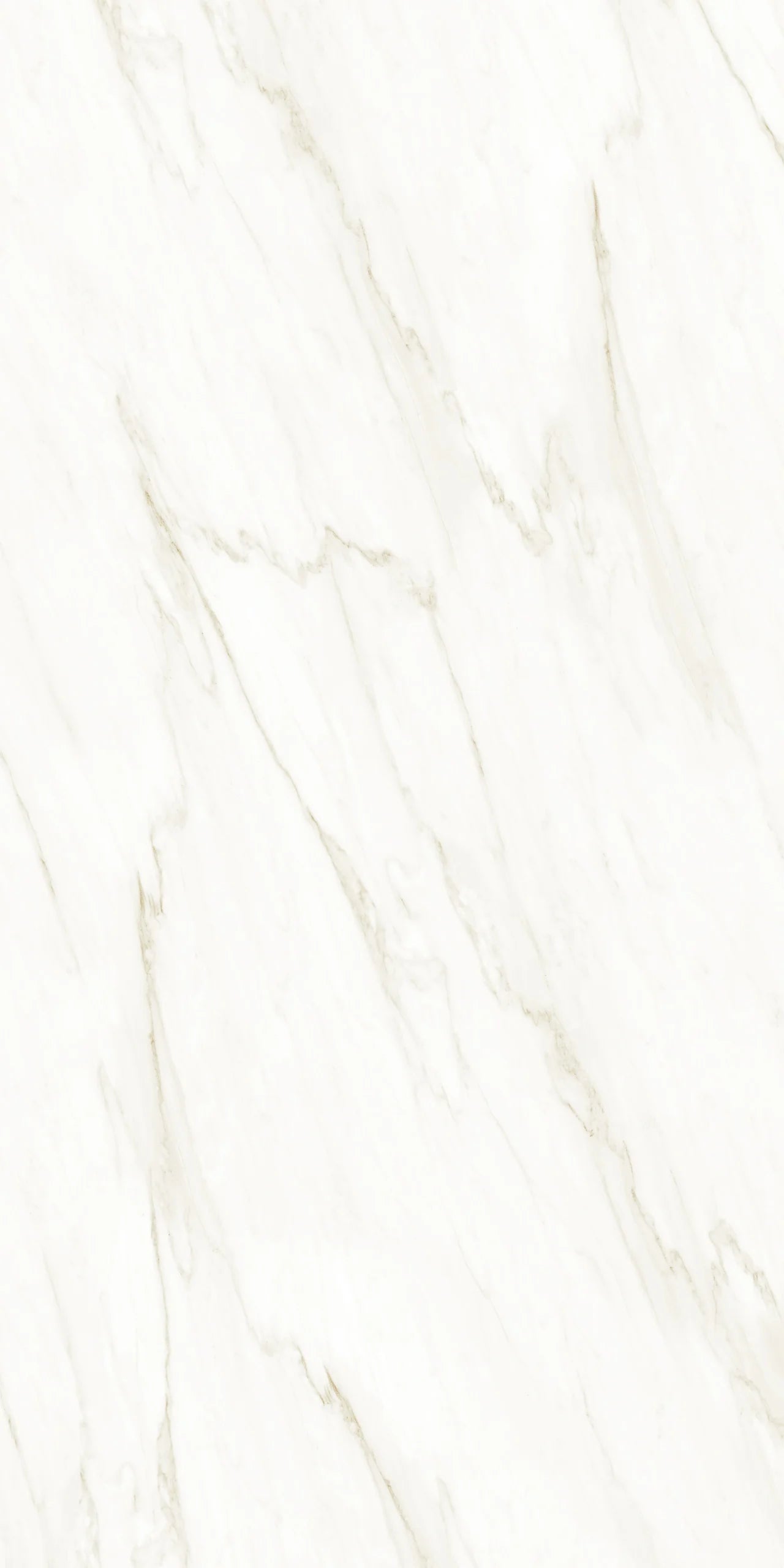 Raphael Porcelain Calacatta Crema