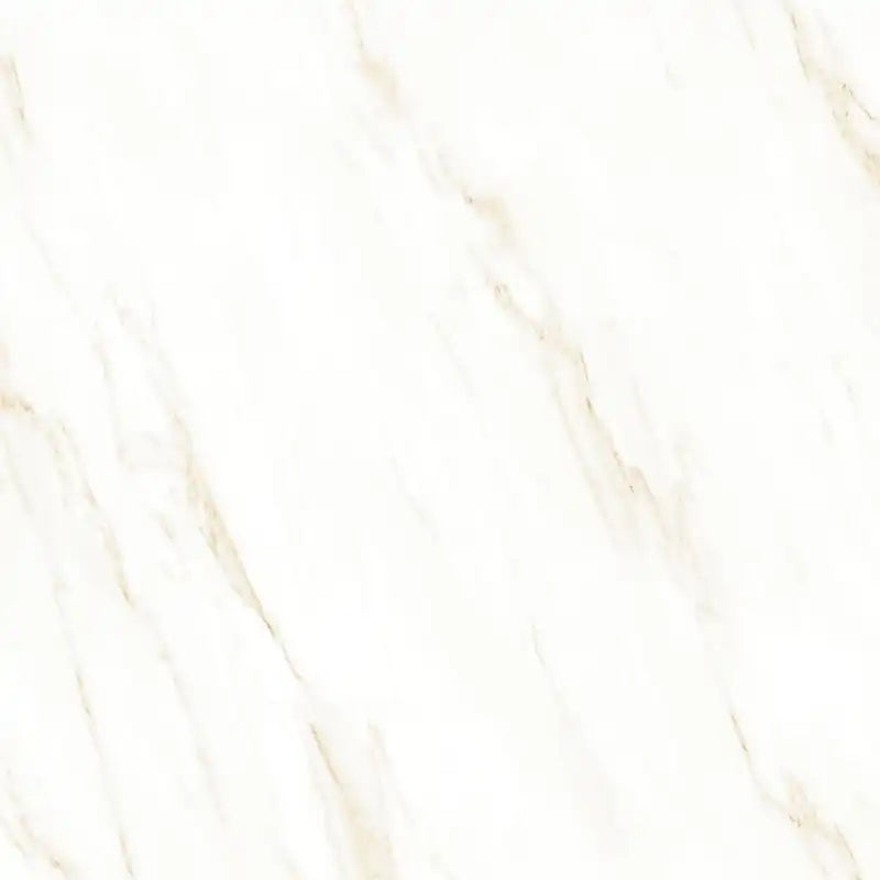 Raphael Porcelain Calacatta Crema