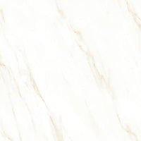 Raphael Porcelain Calacatta Crema