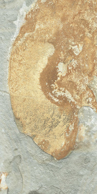 12x24 Thailand Green Matte Porcelain Tile
