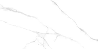 Raphael Porcelain Statuario