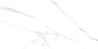 Raphael Porcelain Statuario