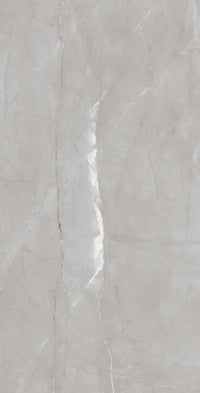 Raphael Porcelain Armani Grey