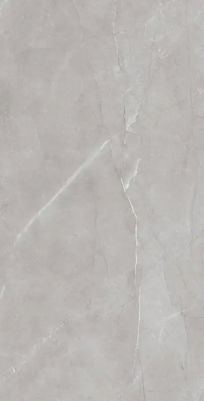 Raphael Porcelain Armani Grey