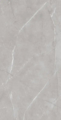 Raphael Porcelain Armani Grey