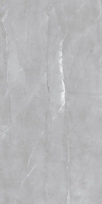 Raphael Porcelain Armani Grey