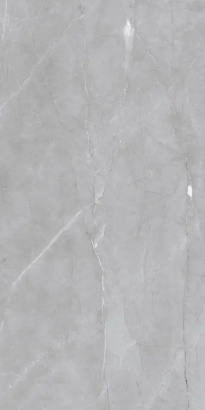Raphael Porcelain Armani Grey