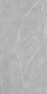 Raphael Porcelain Armani Grey