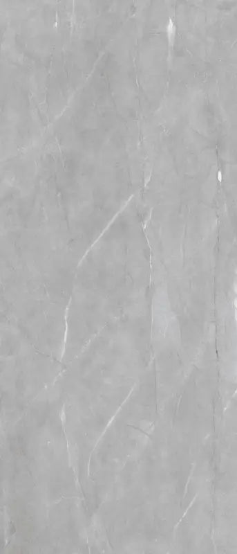 Raphael Porcelain Armani Grey