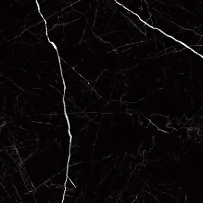 Raphael Porcelain Nero Marquina