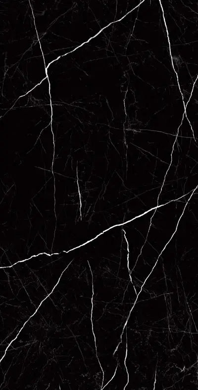 Raphael Porcelain Nero Marquina