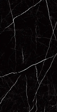Raphael Porcelain Nero Marquina