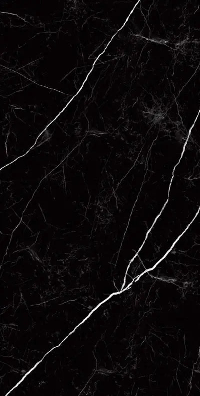 Raphael Porcelain Nero Marquina