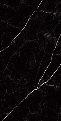 Raphael Porcelain Nero Marquina