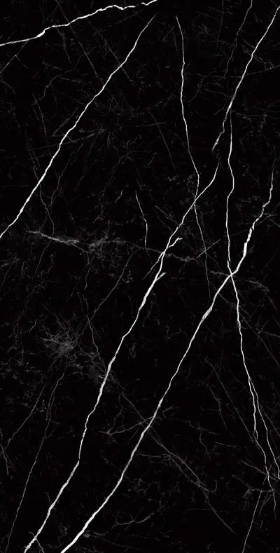 Raphael Porcelain Nero Marquina