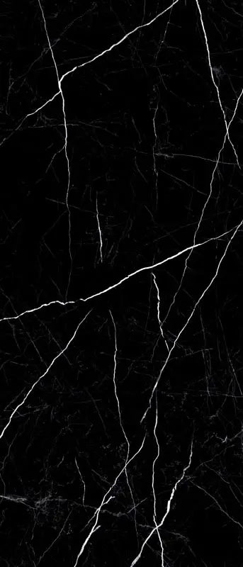 Raphael Porcelain Nero Marquina