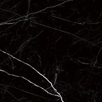Raphael Porcelain Nero Marquina