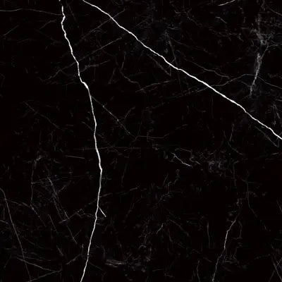 Raphael Porcelain Nero Marquina