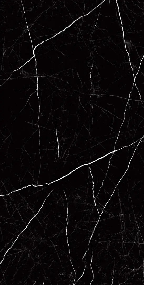 Raphael Porcelain Nero Marquina