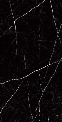 Raphael Porcelain Nero Marquina
