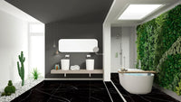 Raphael Porcelain Nero Marquina