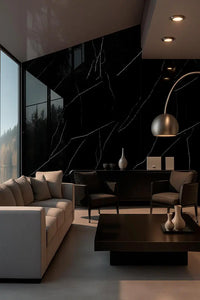 Raphael Porcelain Nero Marquina