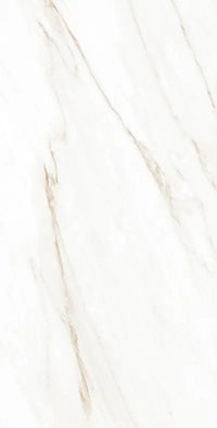 Raphael Porcelain Calacatta Crema