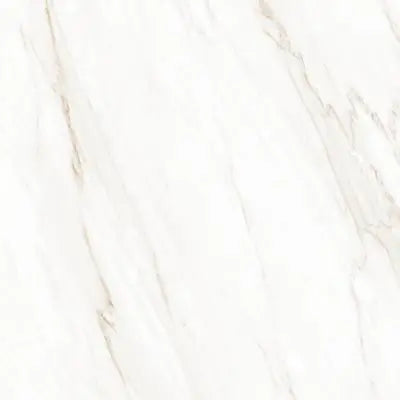Raphael Porcelain Calacatta Crema