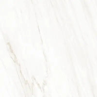 Raphael Porcelain Calacatta Crema