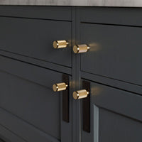 Modern Cabinet Handles with Backplates