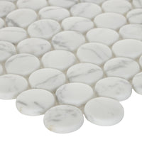 Carrara Super White Micro Crystal Large Penny Mosaic Matte